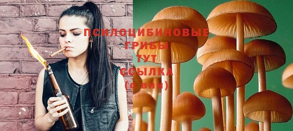 ешки Нея